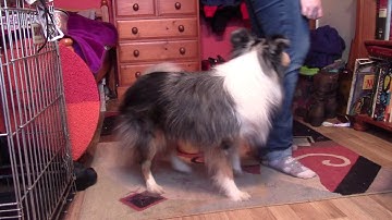 Recallers: Reinforcement Zone Day 2