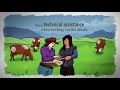 What is Sustainable Agriculture? Episode 6: Sustainable Grazing