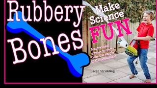 5. Rubbery Bones | Make Science Fun the Book