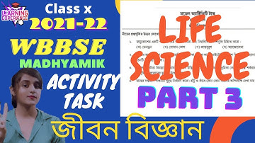 Model activity task 2021 life science class 10 part 2 | west bengal board