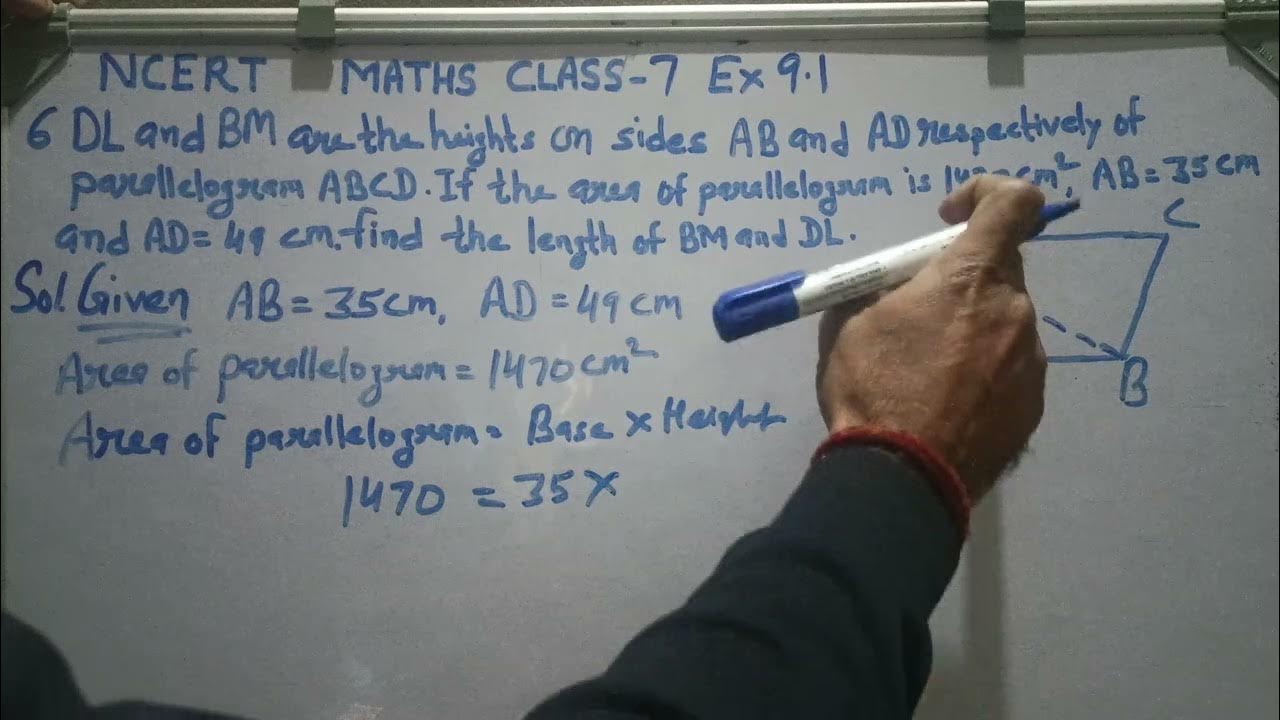 Ncert maths class 7 exercise 9 1 question 6 youtube