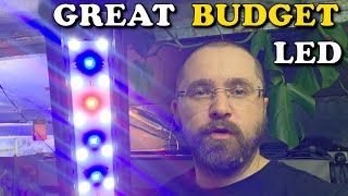Great BUDGET Aquarium LED | hygger HG918 Aquarium Red Blue White LED Light