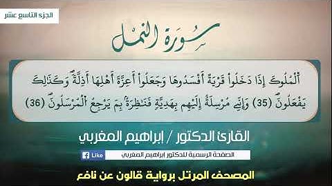 27- النمل  .. برواية قالون عن نافع .. القارئ د. إبراهيم المغربي