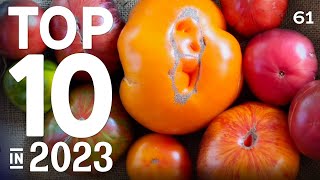 My Top Ten Tomatoes in 2023 | Mainly heritage and heirloom varieties with one F1 in the runners up