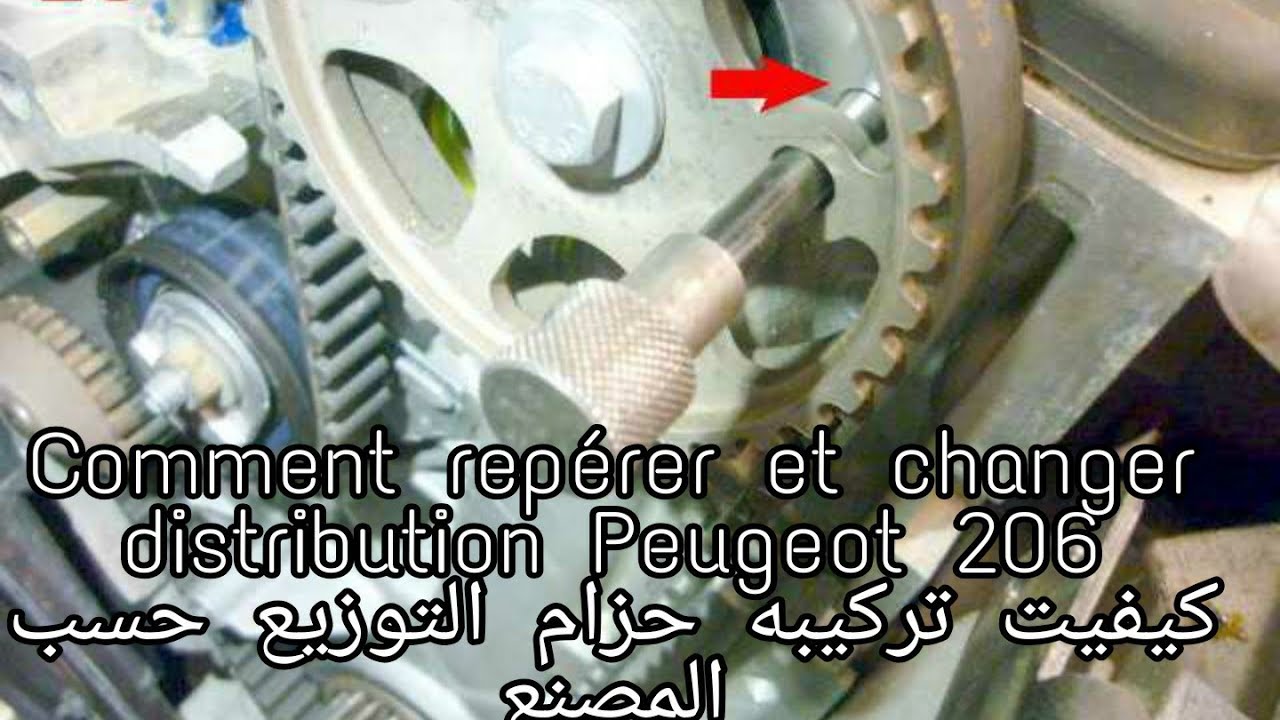Comment Changer Chaîne distribution, 206, C3, selon Constructeur كيفيت تثبيت حزام التوزيع