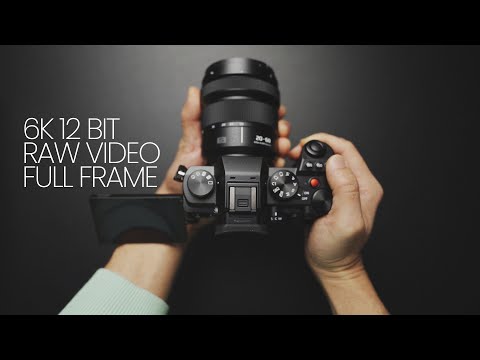 Sony A7IV Killer