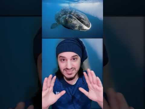 لن تصدق أعمار و كم من الممكن أن تعيش هذه الحيوانات