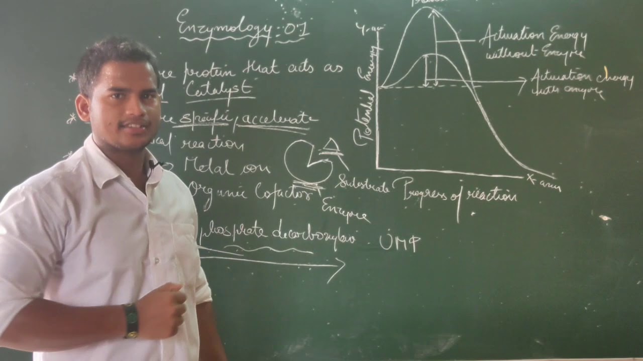 Enzymology Part 1 Class11BiomoleculesExplanation in Hindi YouTube