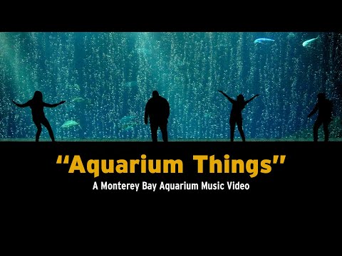“Aquarium Things” — A Monterey Bay Aquarium Music Video