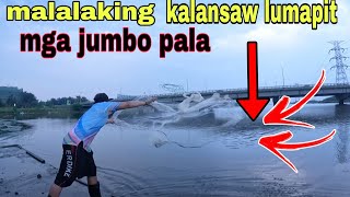 Lumapit nalng bigla saamin ang mga grupo ng jumbo na isda.Ngayon lang nakasapol ng ganito kalalaki..