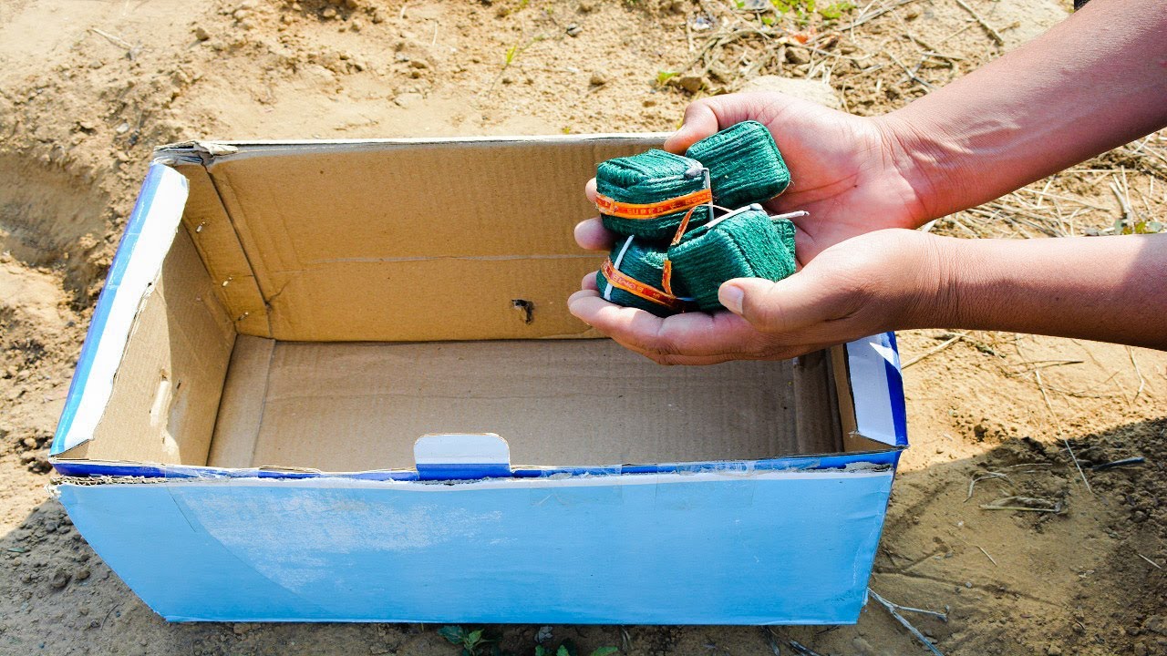 cardboard vs sutli bomb Experiment Survive or Not ? - YouTube