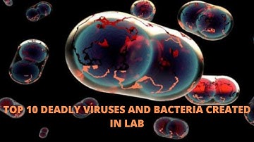 10 Deadly Viruses And Bacteria Created In Labs
