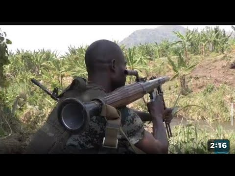 Video: Kupanda kwa Mapukutiko ya Kati Kusini – Nini na Wakati wa Kupanda kwa Mazao ya Kusini mwa Majira ya Baridi