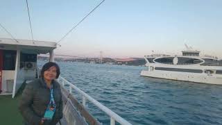 Touristanbul : Free Tour From Turkish Airlines,Bosphorus Cruise