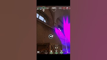 Colorful Kill, 2 funny kills with Raze | Berserk Gamer