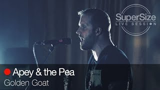 SuperSize LiveSession - Apey & the Pea - Golden Goat