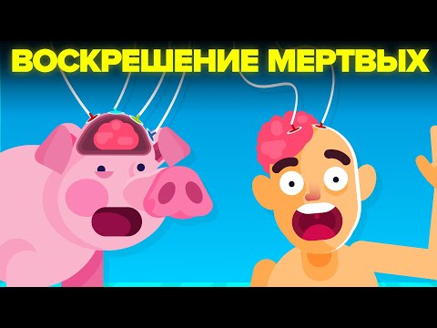 Действительно ли ученые нашли способ вернуть умерших к жизни?