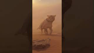 Dune Cat #Animation #Dune #Cat #Pets