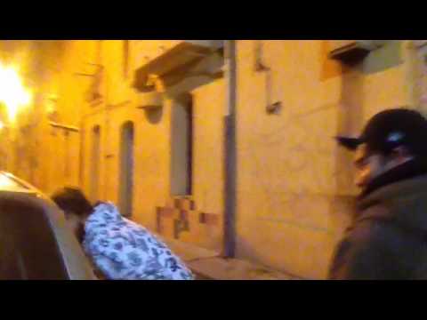 "bezu---la-bande-a-basile---a-la-queue-leu-leu"-vidéo-fan