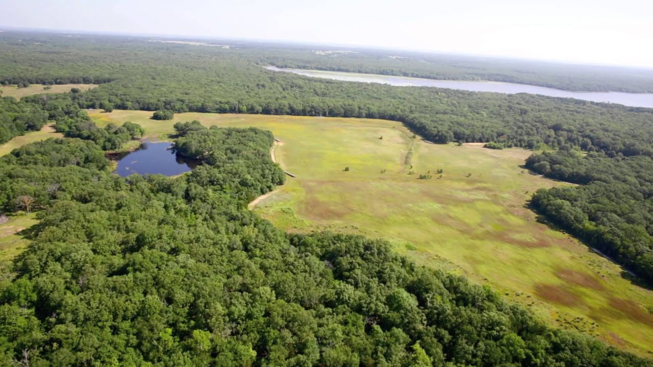 Lake Quail Haven YouTube