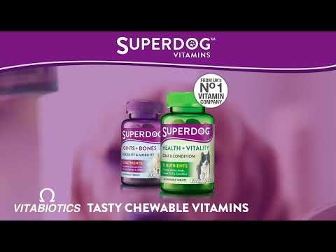 SuperDog Advert 1