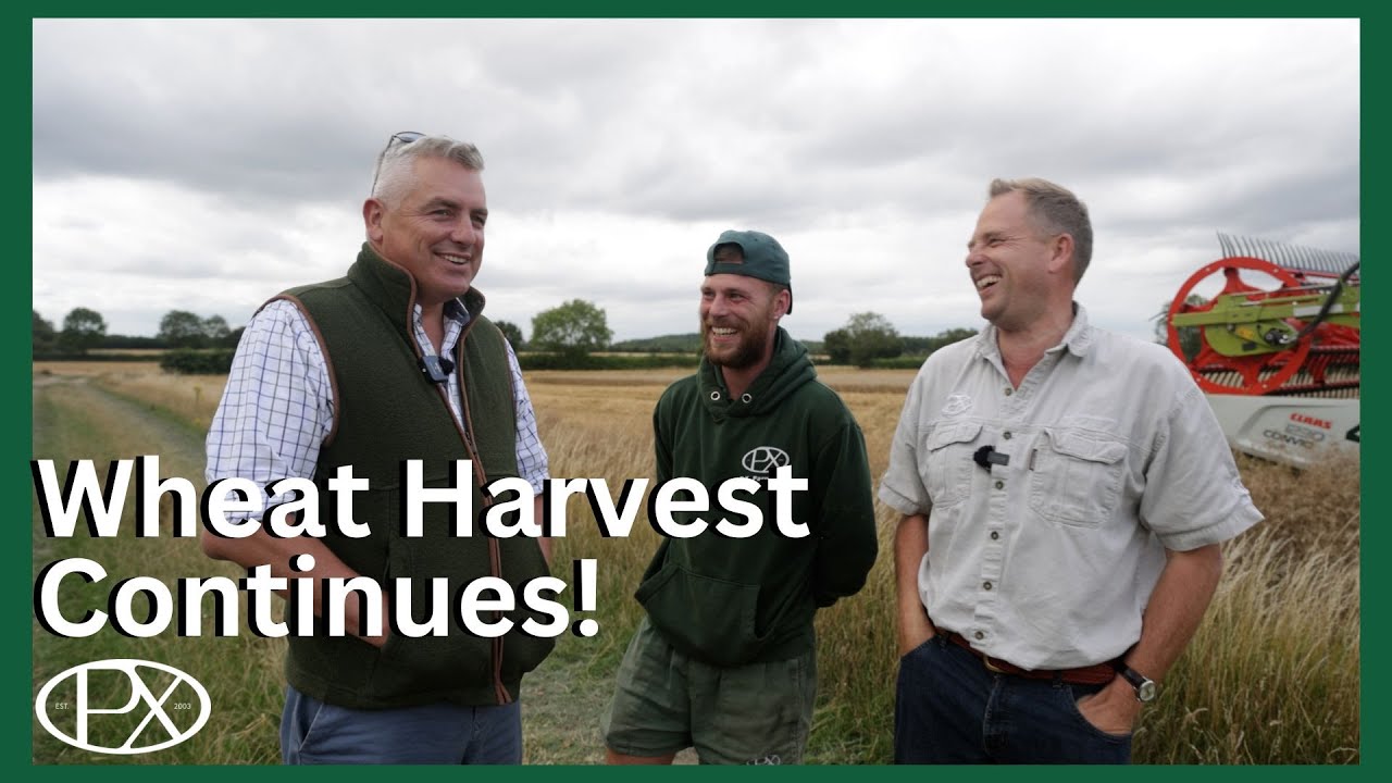 Wheat Harvest Delays, Turbo Troubles & Is Hectare the Future of Grain Trading?