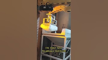 The robot & his melancholic boyfriend 🫣 #palletizer #automation #palletizingrobot #robotics #robot
