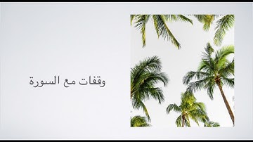 تأملات في سورة مريم                                            الشيخة انتصار النصر الله