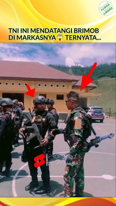 TNI VS BRIMOB✊🔥 #shortvideo #tni #brimob #solid