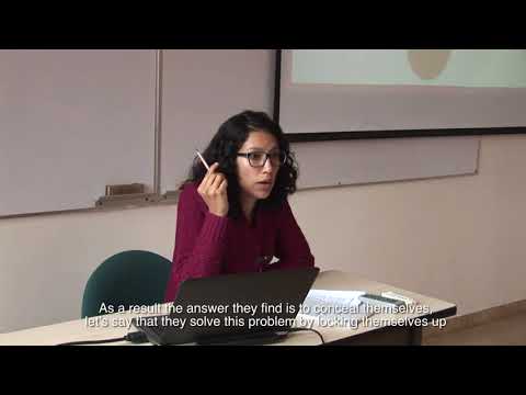 Mega-mining and impacts of Chinese infrastructure for women of the Bolivian Amazon (subtitled)