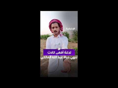 عبد الله المالكي يروي قصة نجاته من لدغة أفعى قاتلة