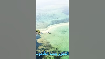 سورة المائدة و.كا،نك تسمعها لأول مر،ة🧡.💕.🌹.🌷.❣️بصوت الشيخ حمزة مدبو.ح💝.🌹.🌼.💛.🌸
