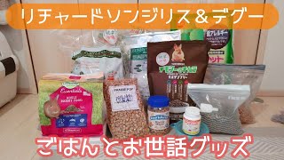 ごはんとお世話グッズの紹介【リチャードソンジリス】【デグー】