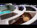 세상에 단 하나뿐인 초호화 달팽이 하우스 만들기 / How to make the only super-luxury snails house in the world