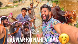 Ham ne milkar janwar ko nahla Diya 🤭 oufff maza aa gaya 🥰| Eid special | funny vlog | syed fahad |