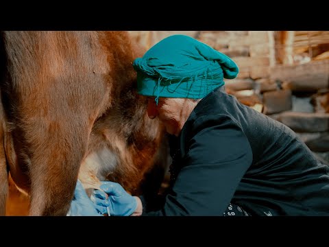 ფშავი, სანათა მაჩურიშვილი -  სოფელი ქალილო დუშეთი - ეთნოფორი 06.01.2022