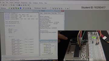 Lab 8 / Interfacing and programming 7 segment display.
