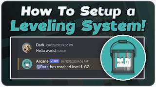 How to Setup a Level System in Discord!