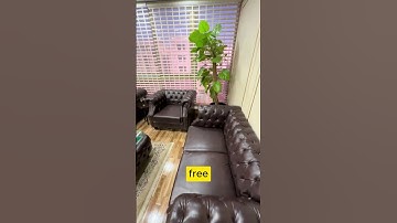 You Can Start a Business in Dubai Easier Than You