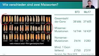 Swiss-Food Talk 3.3.2022 Prof. Detlef Weigel
