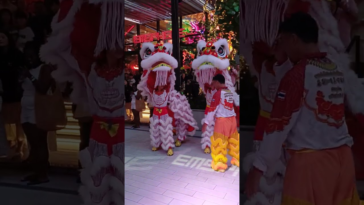เชิดสิงโต Lion Dance งานตรุษจีน #เชิดสิงโต #liondance #เทศกาลตรุษจีน #happychinesenewyear 