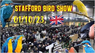 Stafford bird show 01/10/23 UK