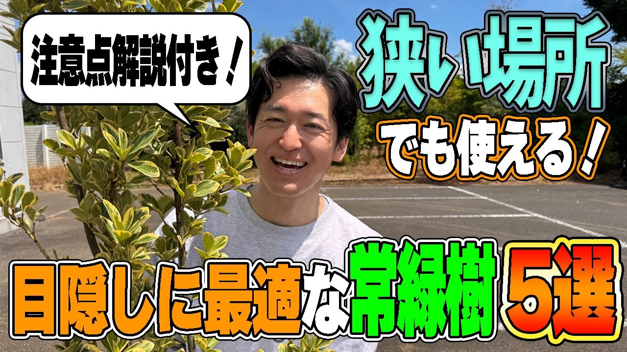 【防犯・プライバシー確保】狭い場所でもオシャレに目隠し