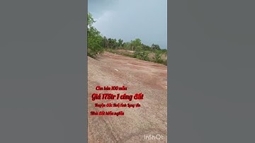 cần bán 100 mẫu đất giá 175tr 1 công đất thuộc huyện đức Huệ tỉnh Long An lh 0816556639 #batdongsan