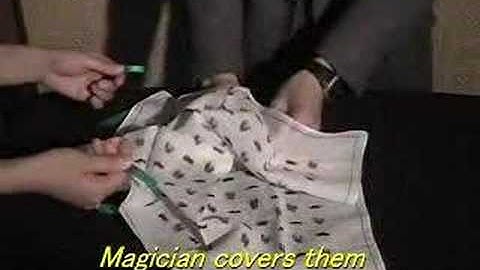 Perfect Link by Kreis Magic - www.MJMMagic.com