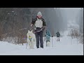Догтренинг 575. Лыжный марш- бросок с собаками. Маршрут: &quot; Лыжный край ДТ&quot; 10 км