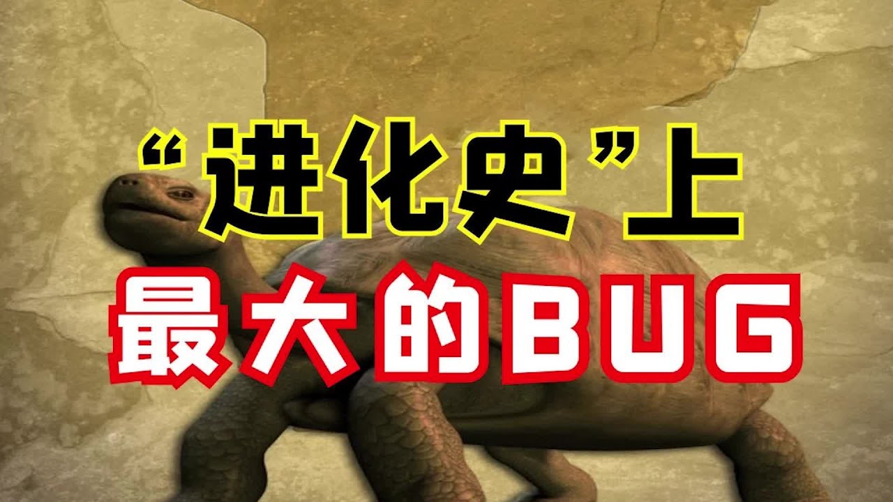 “进化史”上最大的BUG！