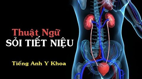 Thuật Ngữ Y Khoa Sỏi Tiết Niệu