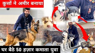 घर बैठे मोटा पैसा कमाना सीखें HR dog world Dog kennal in Haryana india 📞 7988570530