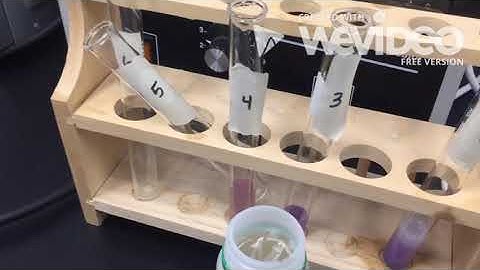 Enzyme Digestion - STEM SOS PBL Level 2 Project